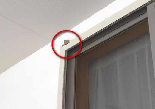 ドロバチ駆除窓サッシ